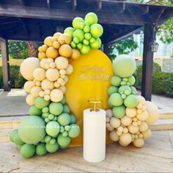 Balloon Decorations For Girlfriend Birthday