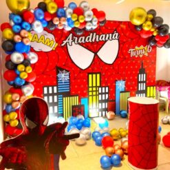 Spiderman Theme Birthday Decorations