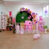 Butterfly Fairy Themed Birthday Decorations