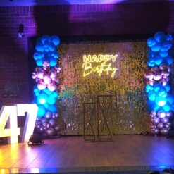 Shimmer Backdrop Birthday Party Decorations