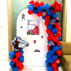 Spiderman Birthday Decorations