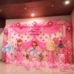 1st Birthday Princess Theme Decorations