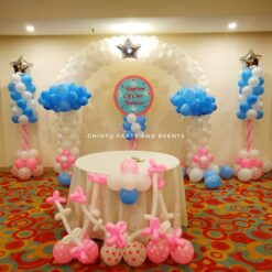 Baptism Ceremony Decorations For Twins