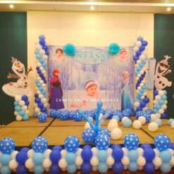 Frozen Theme 1st Birthday Decorations