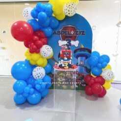 Paw Patrol Theme 3rd Birthday Decorations In Bangalore