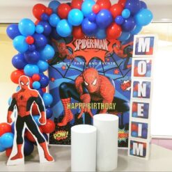 Spiderman Theme Birthday Balloon Decorations