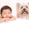 Best Friend Theme Newborn Baby Photoshoot