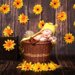 Honey Bee Theme Newborn Baby Photoshoot