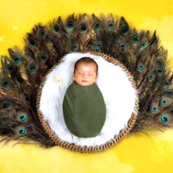 Lord Murugan Theme Newborn Baby Photoshoot