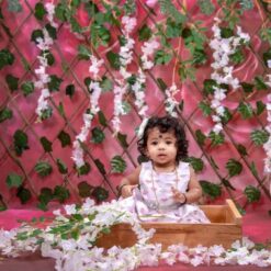 Wisteria Theme Baby Photoshoot