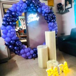 Surprise Birthday Decoration For Father