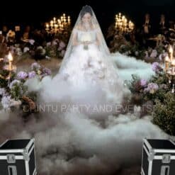 Low Fog Machine For Wedding Entry